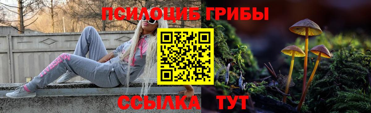 Галлюциногенные грибы Magic Shrooms Тейково
