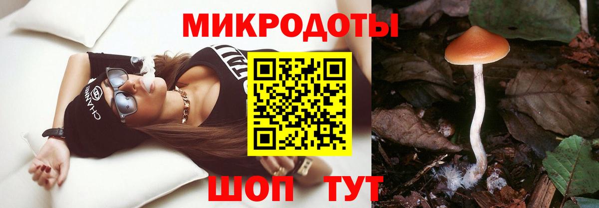 Галлюциногенные грибы Cubensis  Вход с VPN  что такое   Тейково 